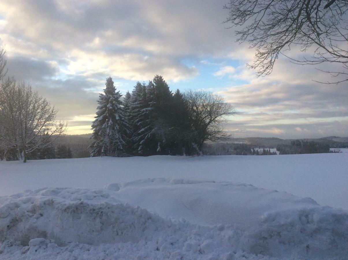 Harzblick