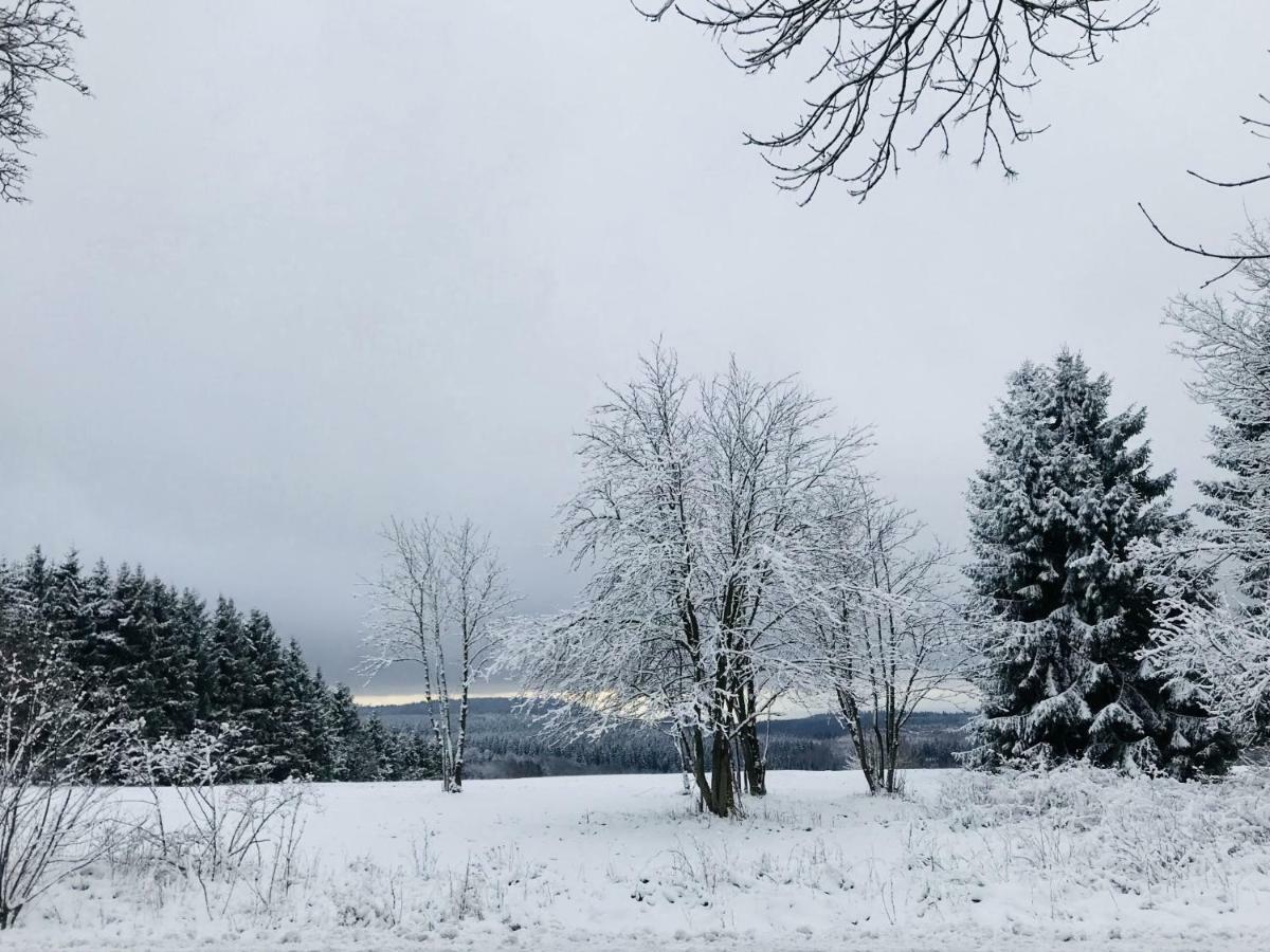 Harzblick
