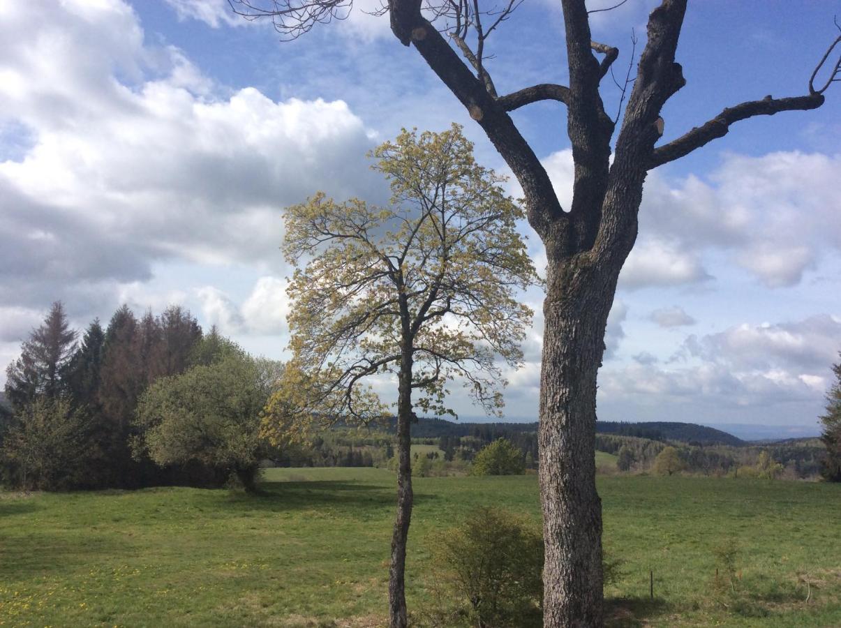 Harzblick Apartment Braunlage